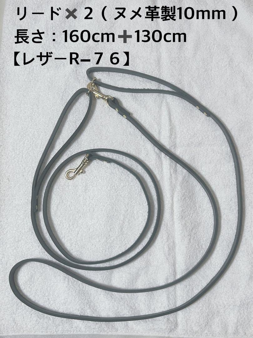 リード✖️２「肩掛け可」（革製１０mm）【レザーR-７６】