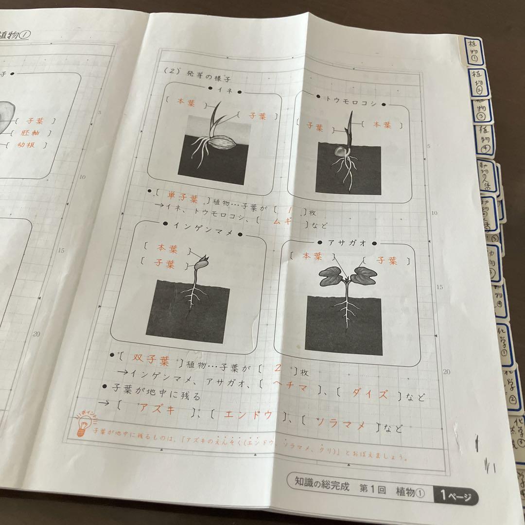 サピックス 知識の総完成 理科