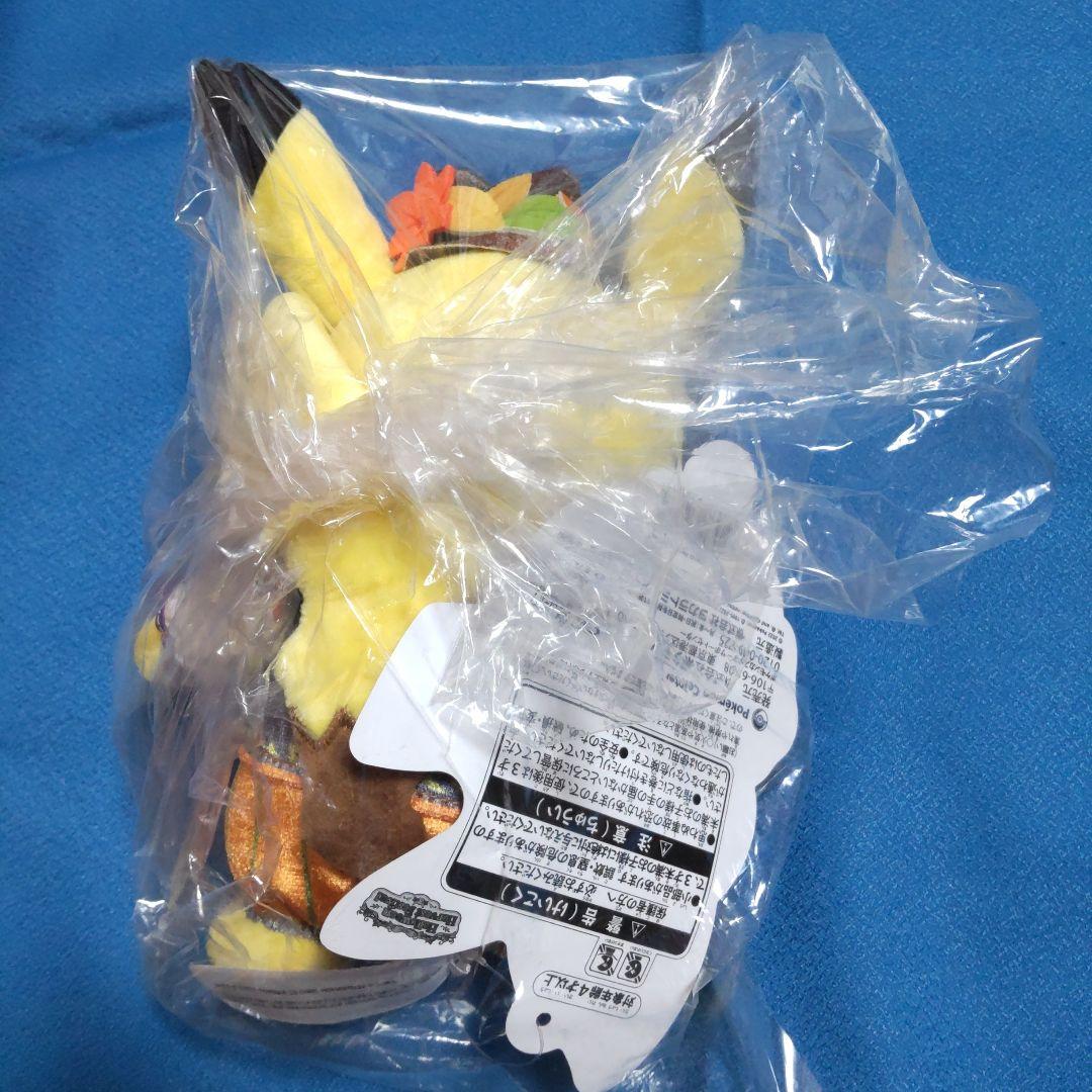 ピカチュウ-バドレックスリースポケモン