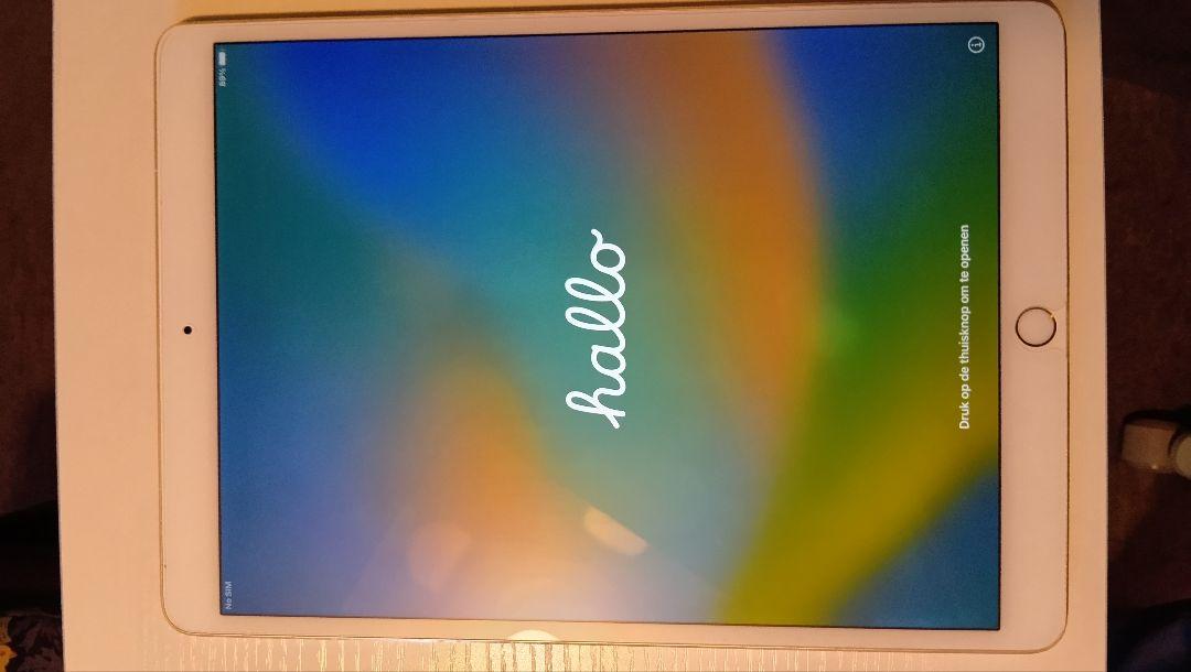 iPadPro　第一世代（10.5インチ）256GB