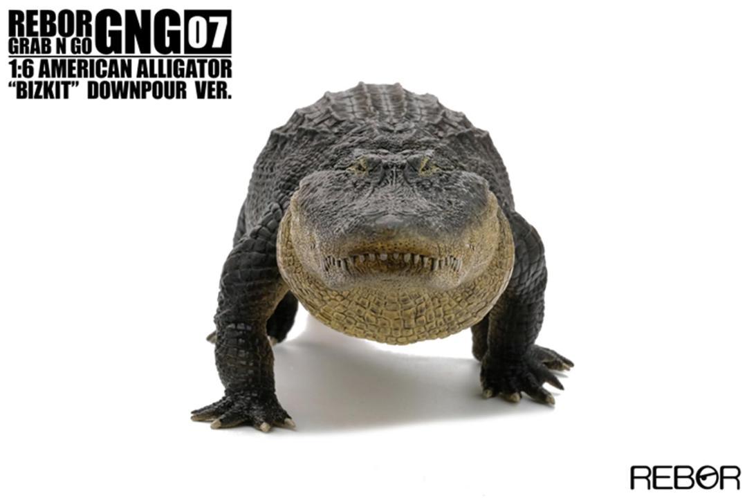 REBOR 1/6 アメリカアリゲーター 動物 ワニ フィギュア模型