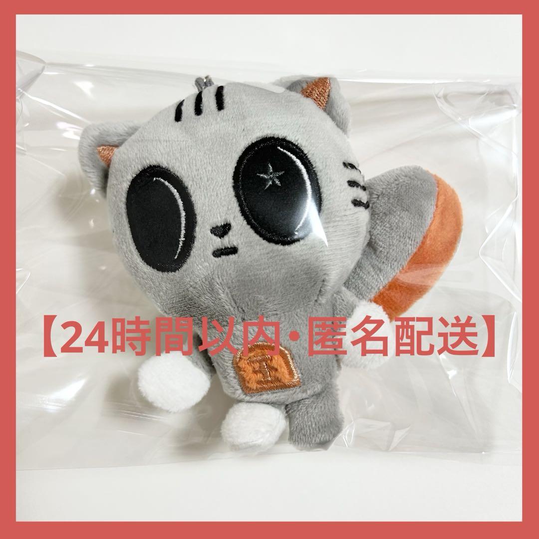 TXT プルバトゥ テヒョン ぬいぐるみ キーホルダー 15cm - メルカリ