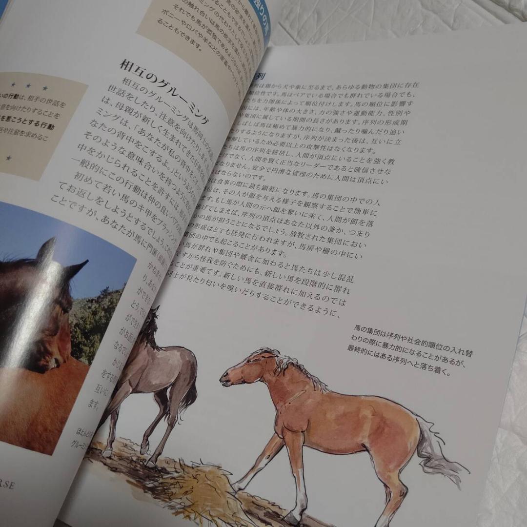 馬のきもち HOW TO THINK LIKE A HORSE