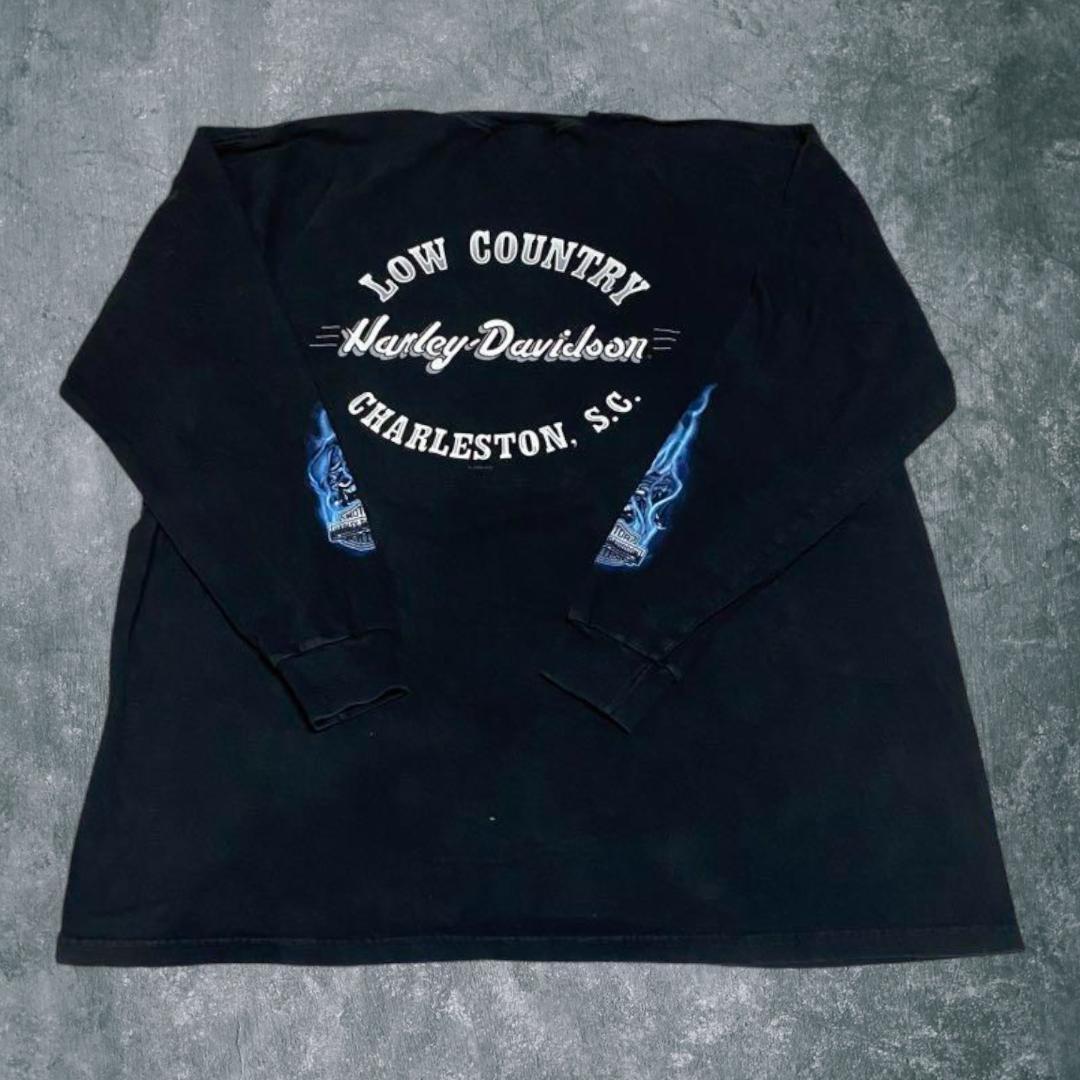 Harley Davidson blue flame joker ロンT 両面