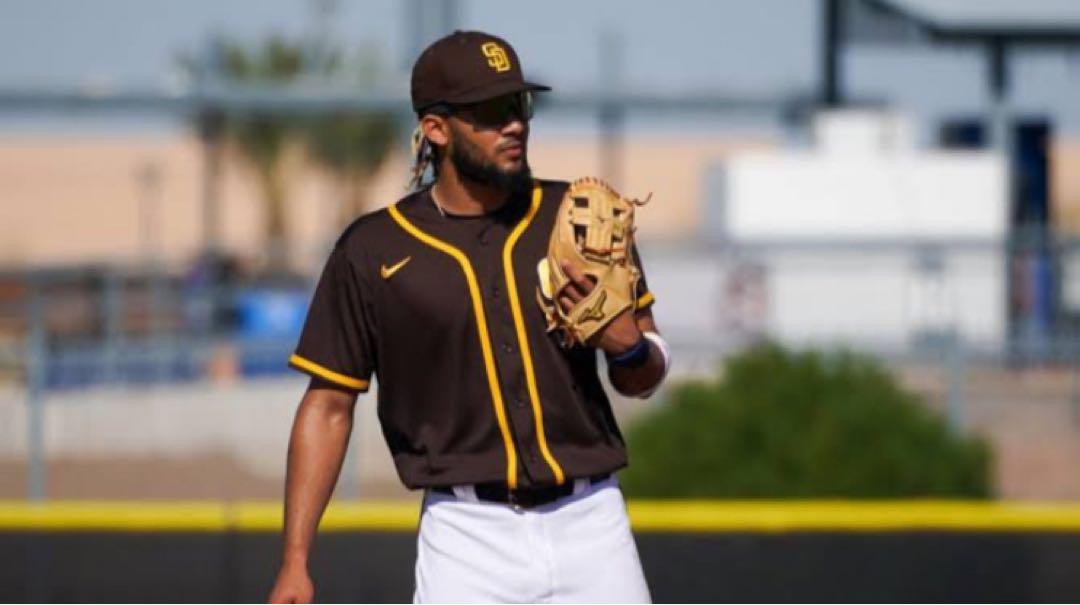 Tatis Jr モデル　ミズノプロ　Mizuno pro USA パドレス