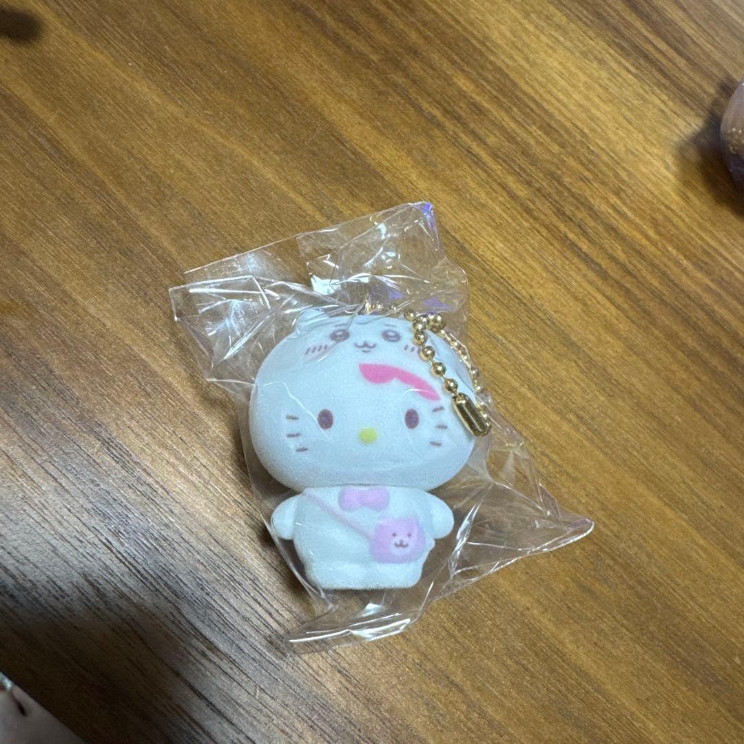 ちいかわ✖️サンリオ シークレットフロッキーマスコットチャーム