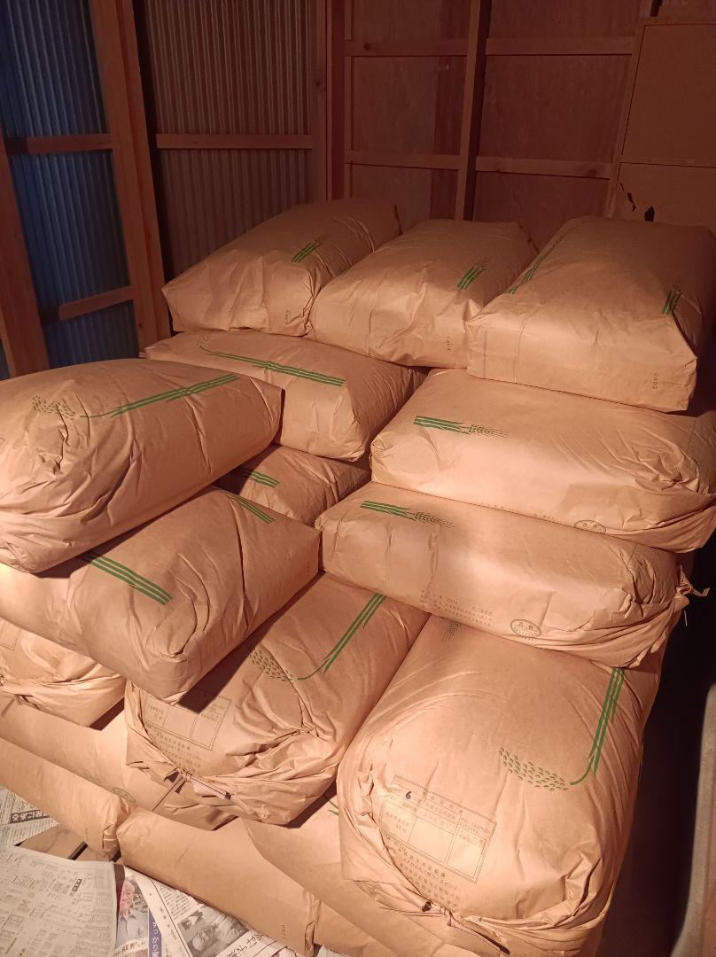 令和6年産 愛媛県産コシヒカリ 10㎏