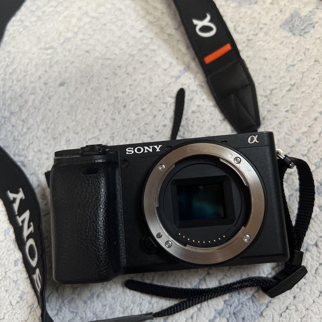 SONY αシリーズ デジタル一眼レフカメラ[美品]
