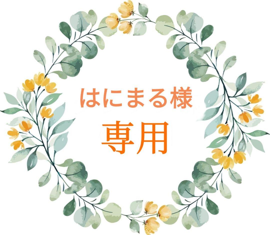 ❣️はにまる様❣️