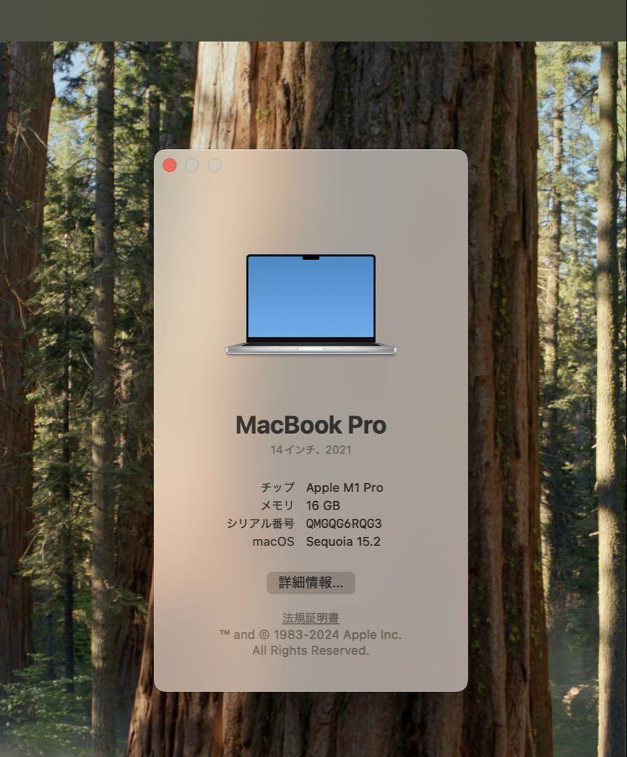 MacBook Pro 2021 M1 Pro 16GB/512GB 14インチ