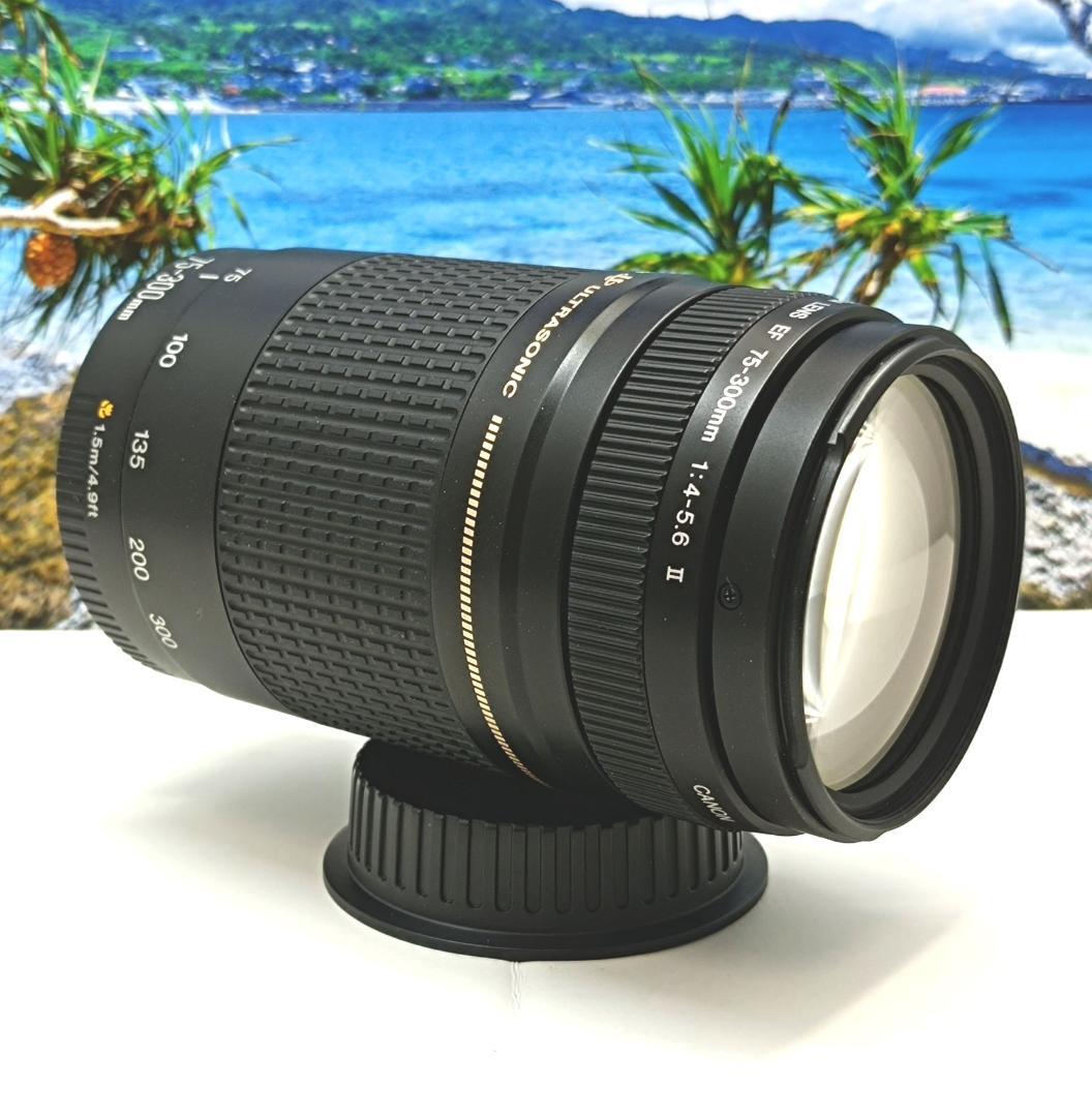 大切な記録を望遠レンズで！Canon キヤノン EF75-300mm #5