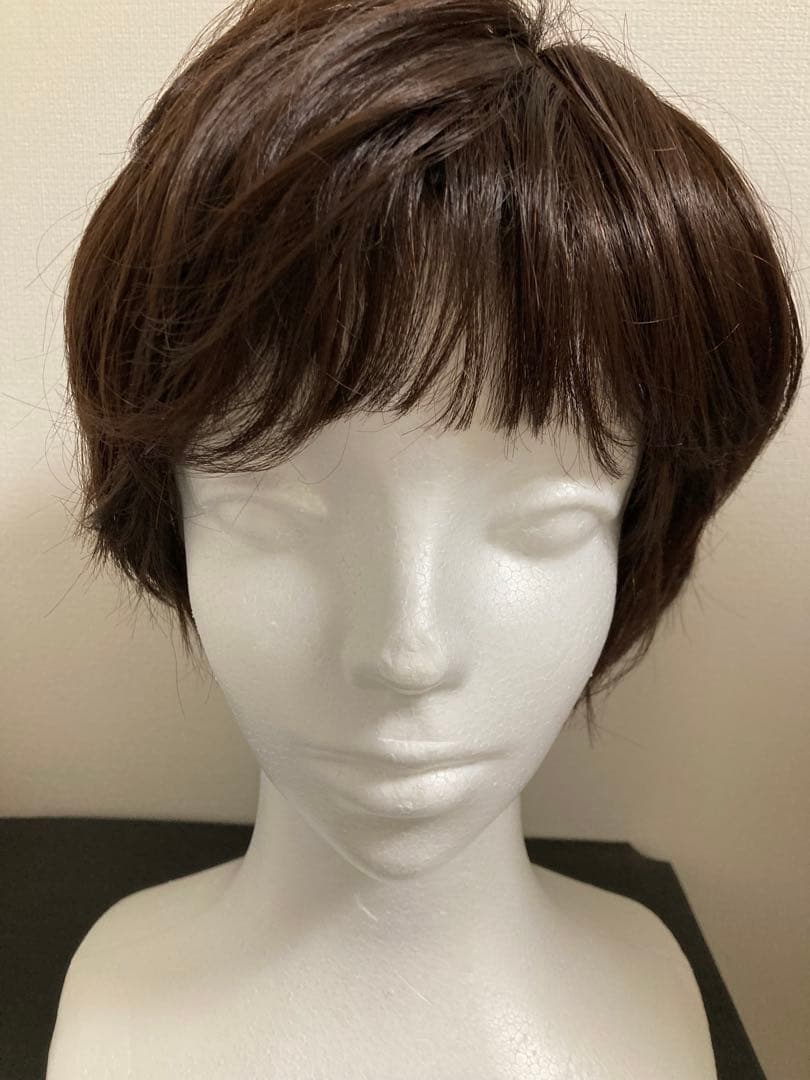 私元気ウィッグ