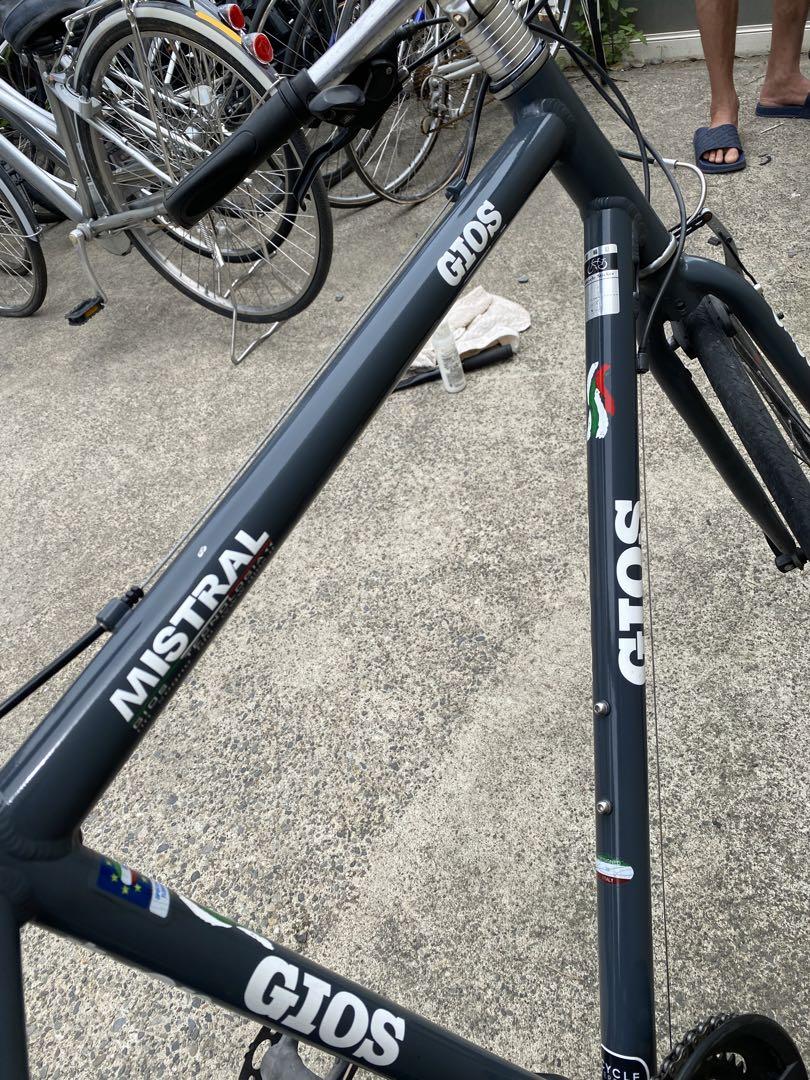 綺麗な Gios Mistral