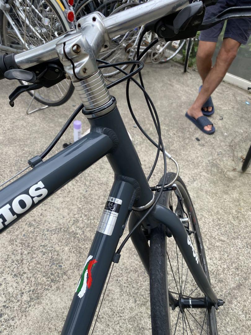 綺麗な Gios Mistral