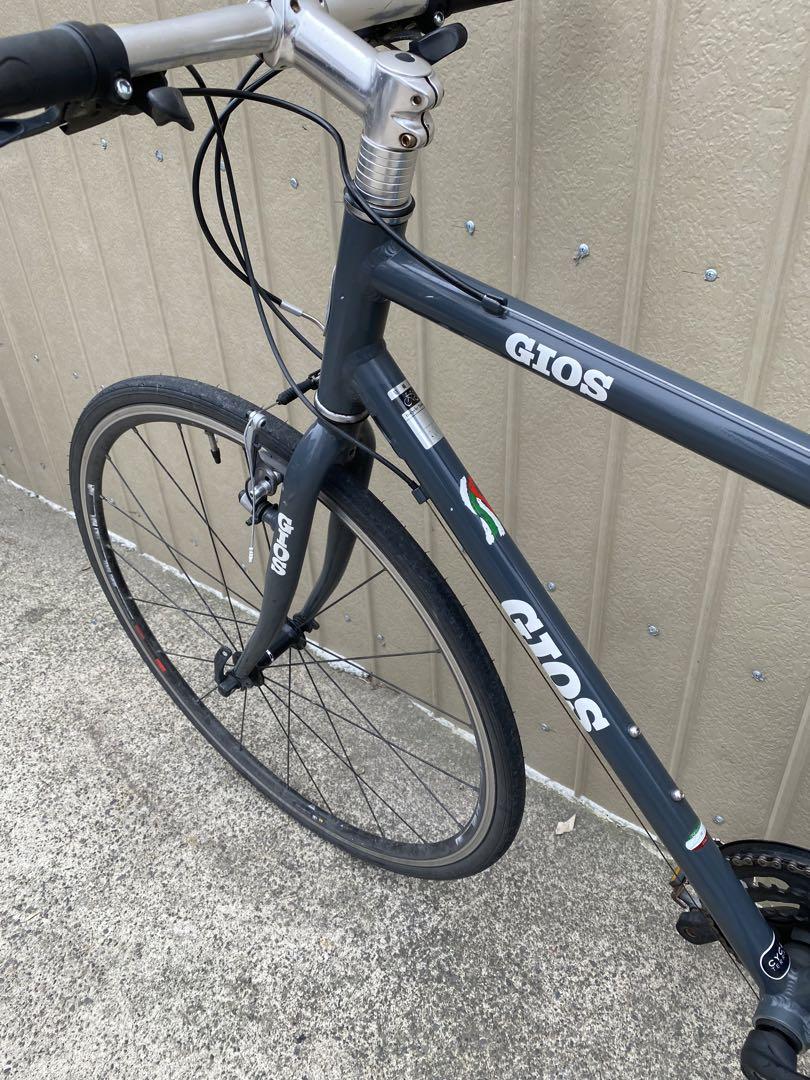綺麗な Gios Mistral