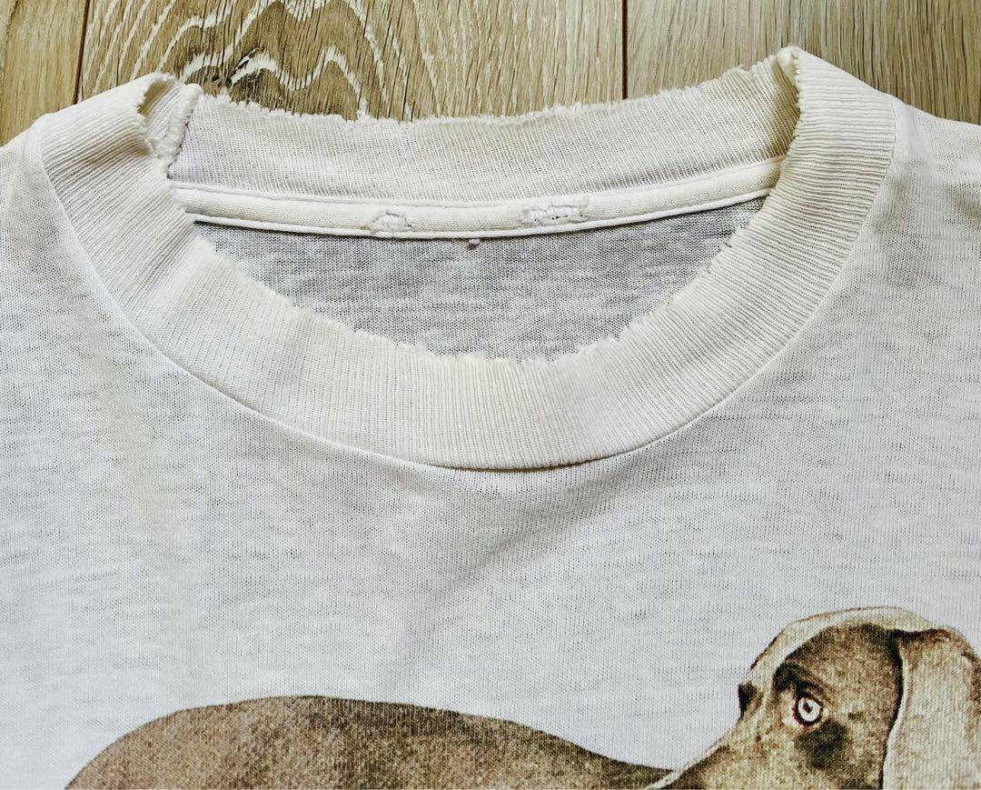ウィリアムウェグマン ヴィンテージt シャツ アートtシャツ