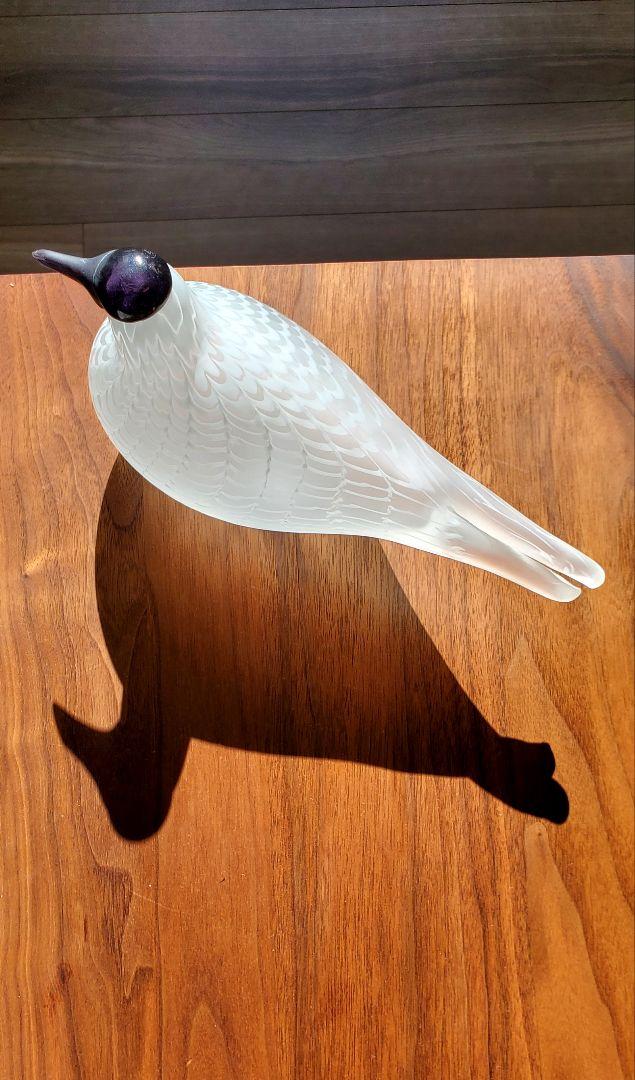 iittala bird イッタラバード Species of Tern