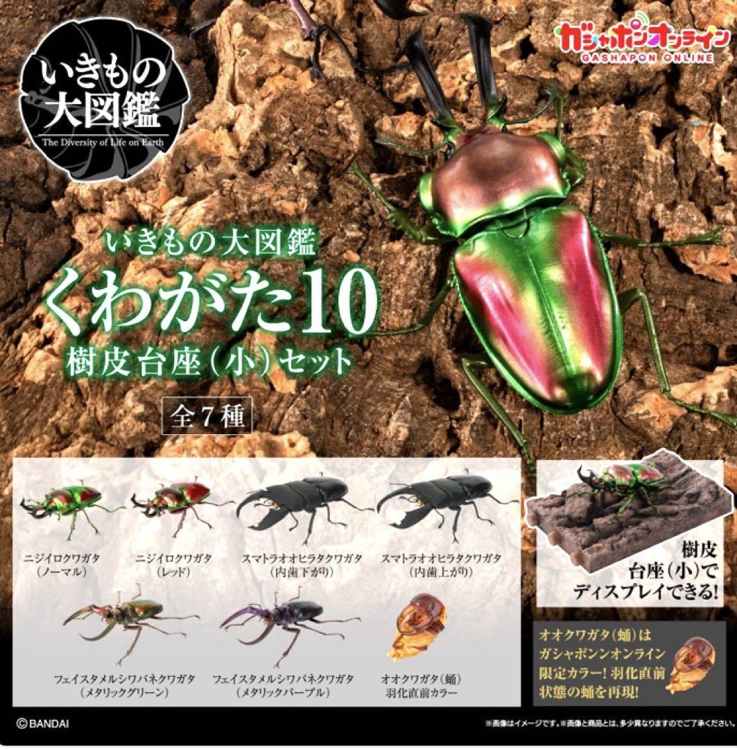 洋書　シワバネクワガタ亜科のモノグラフ taita-chi03.jpg