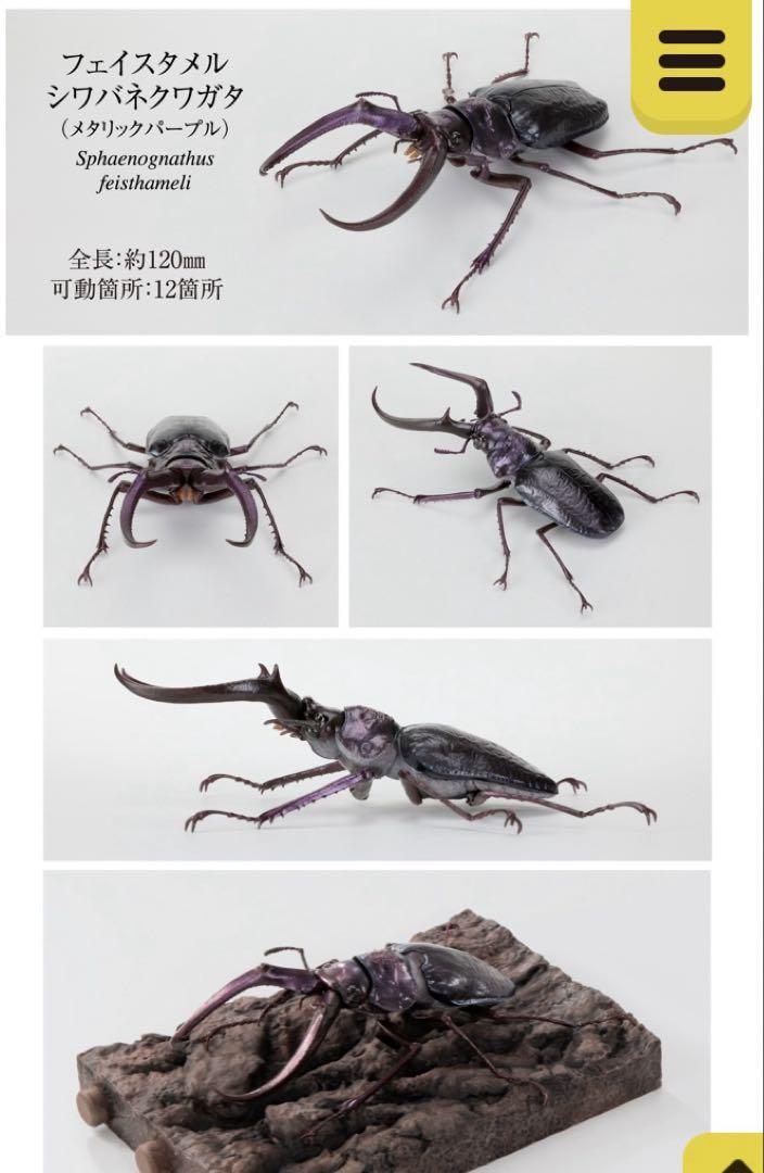 いきもの大図鑑くわがた10 フェイスタメルシワバネクワガタ