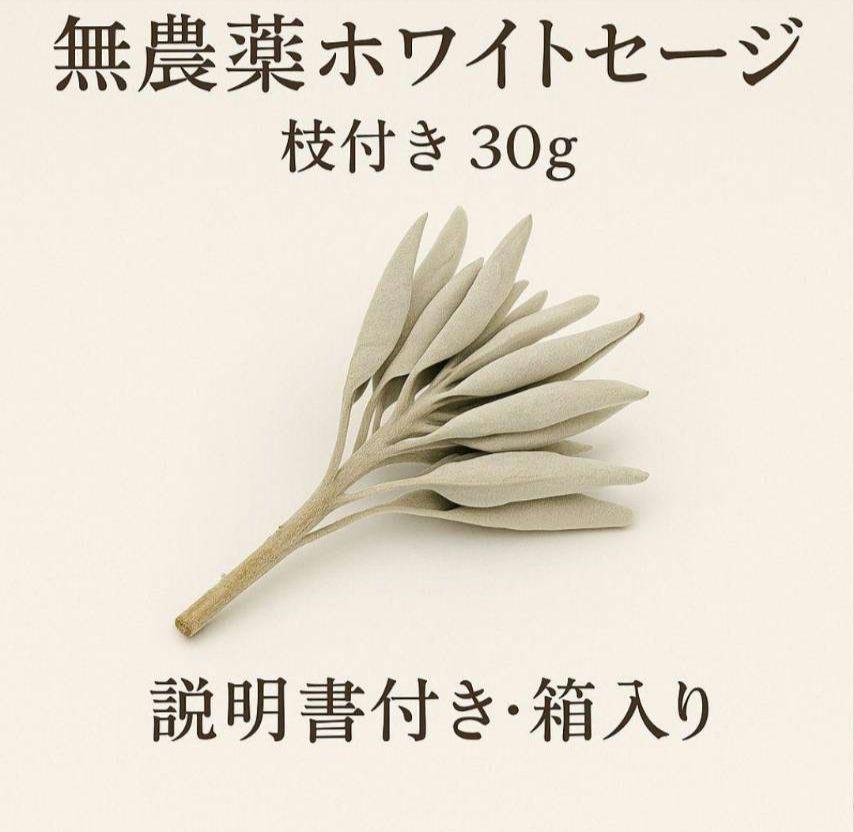 激安価格☆無農薬ホワイトセージ枝付きクラスター3kgお香浄化　業務用価額 激安価格☆無農薬ホワイトセージ枝枝付きクラスター30gAAA