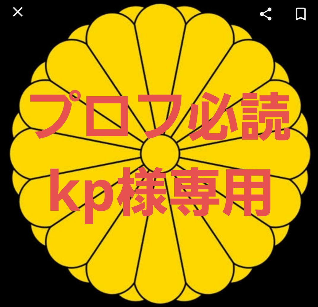 プロフ必読！kp
