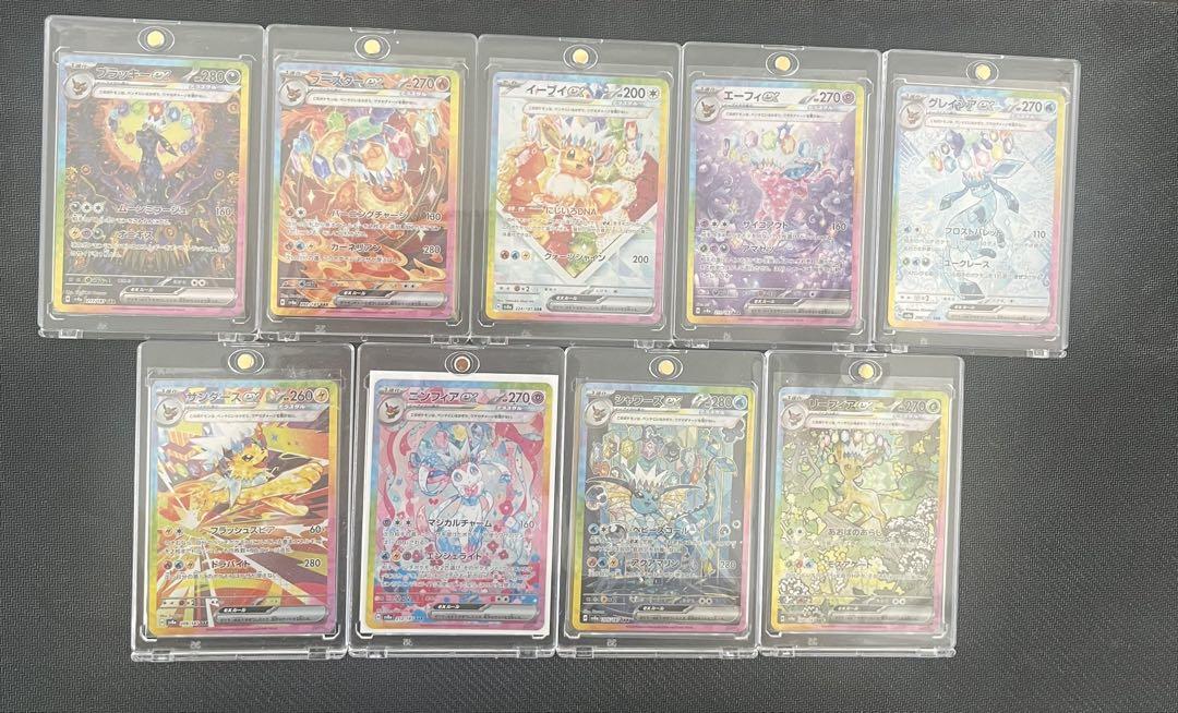 テラスタルフェス　ブイズSARコンプ
