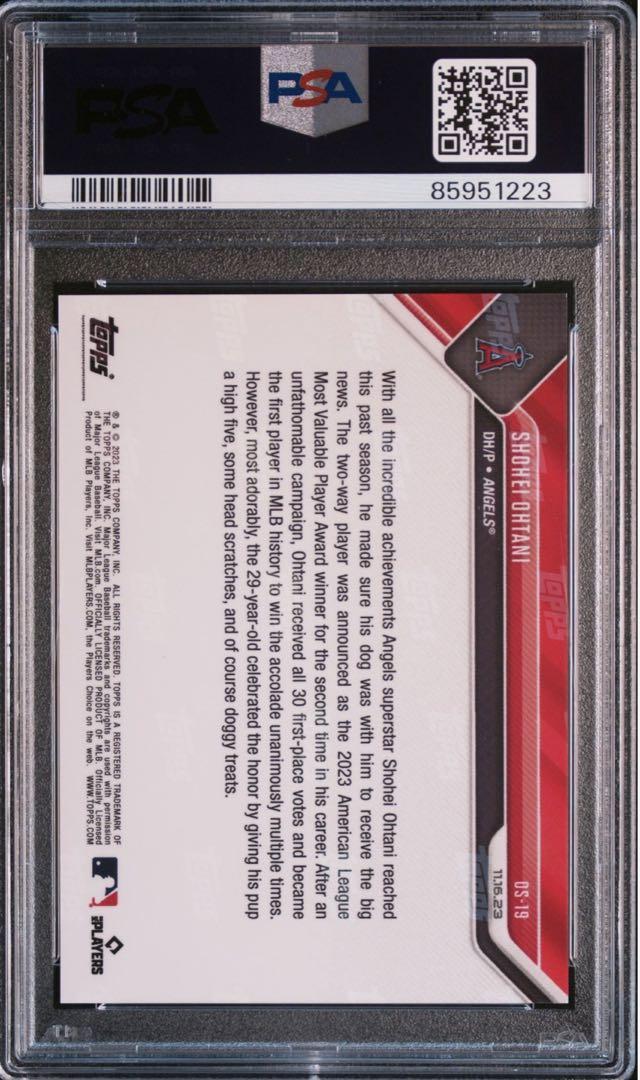os-19 PSA10