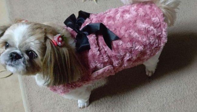 オーダーメイド犬服、冬用、オーダー受付中!!