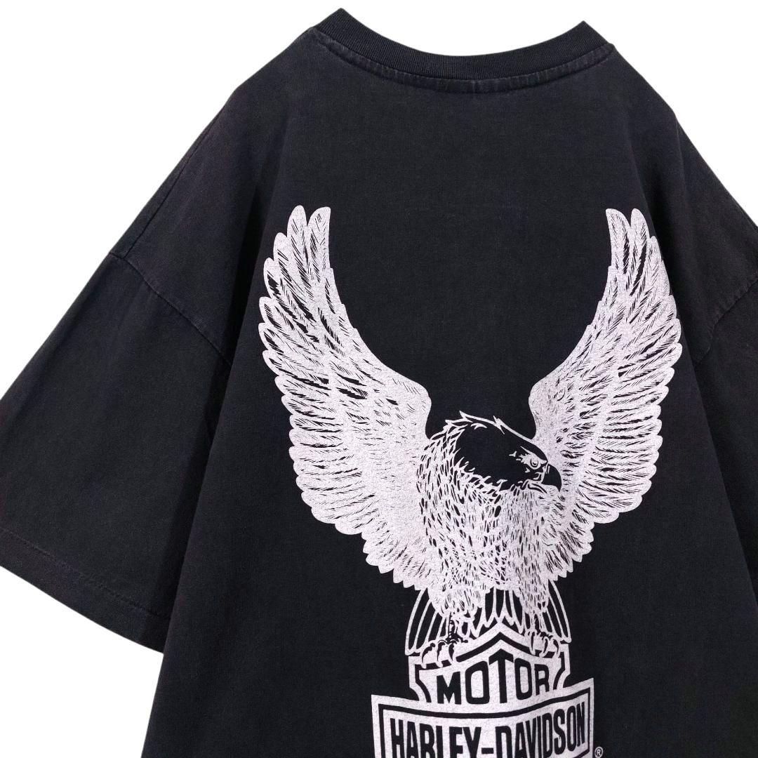 スカルイーグル TシャツXL