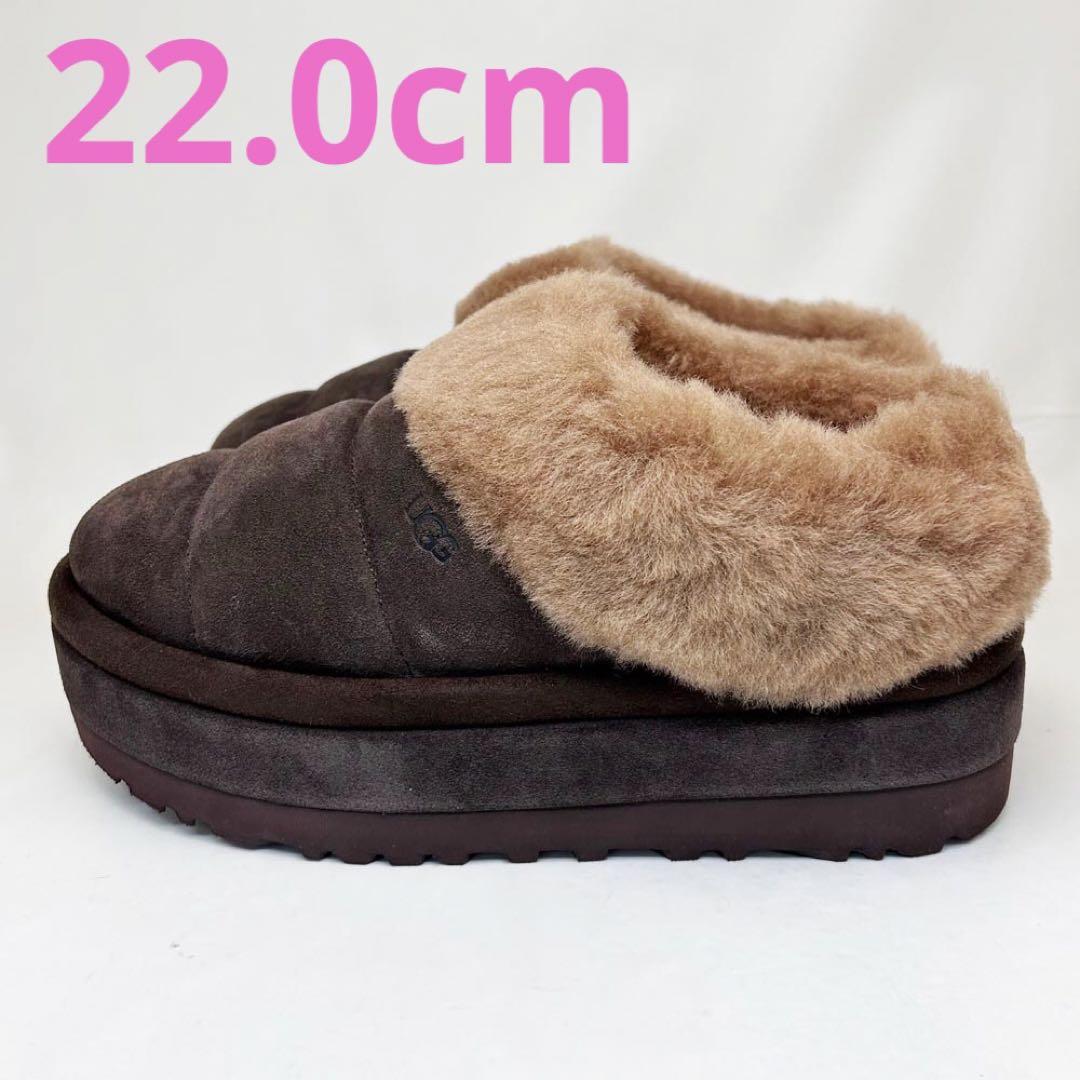 新品 UGG アグ レディースブーツ TAZZLITA ブラウン 22.0cm