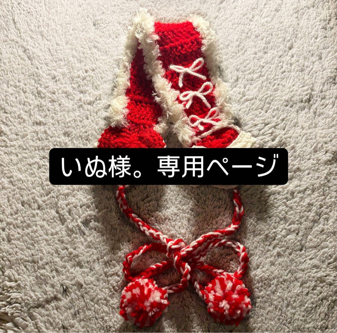 いぬ様。専用ページ❁⃘*.゜