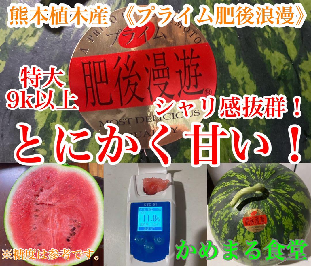 熊本産 大玉スイカ肥後漫遊 S2玉 9〜11k箱込　かめまる食堂