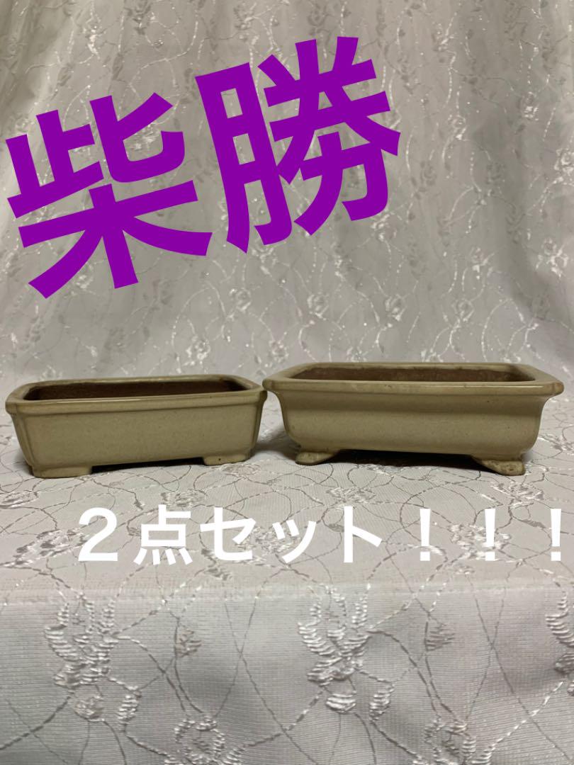 柴勝２点セット！！！