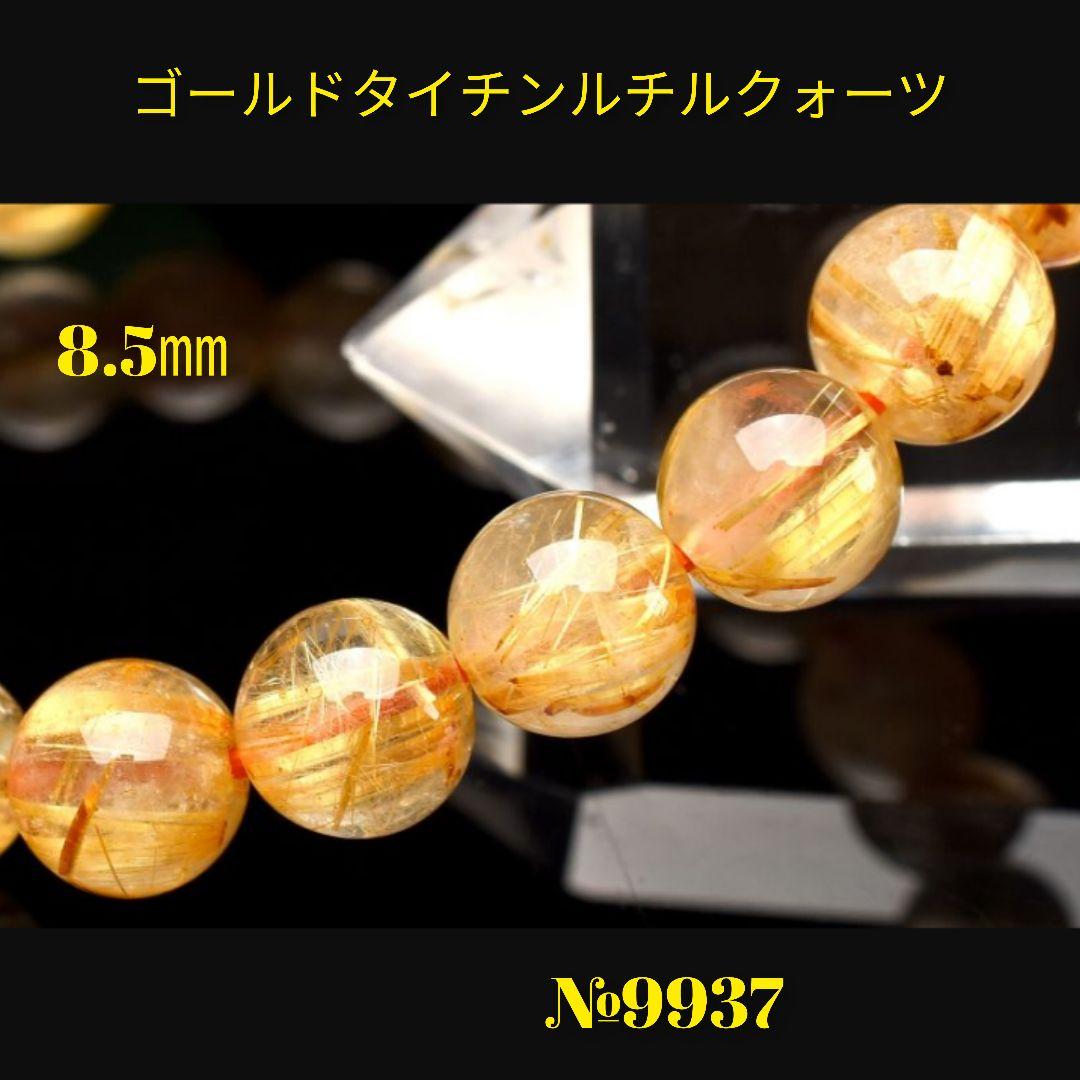 のサムネイル
