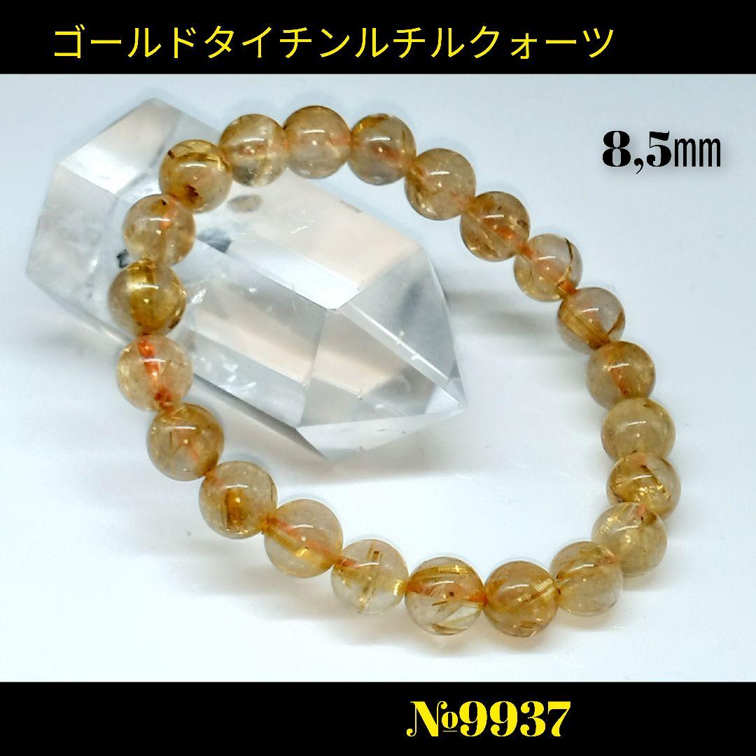 のサムネイル
