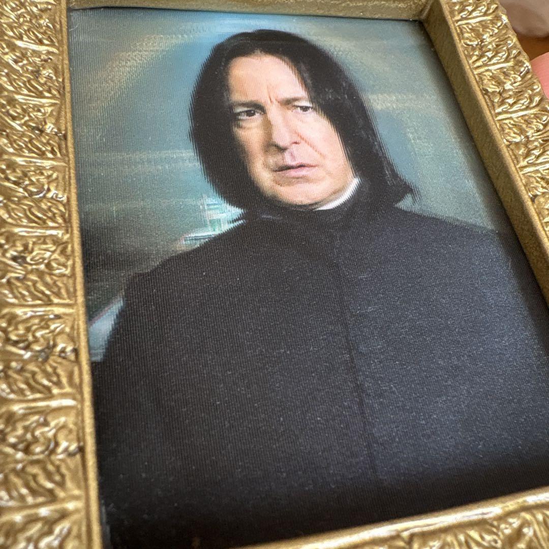 Harry Potter 肖像画マグネットコレクション ダンブルドア
