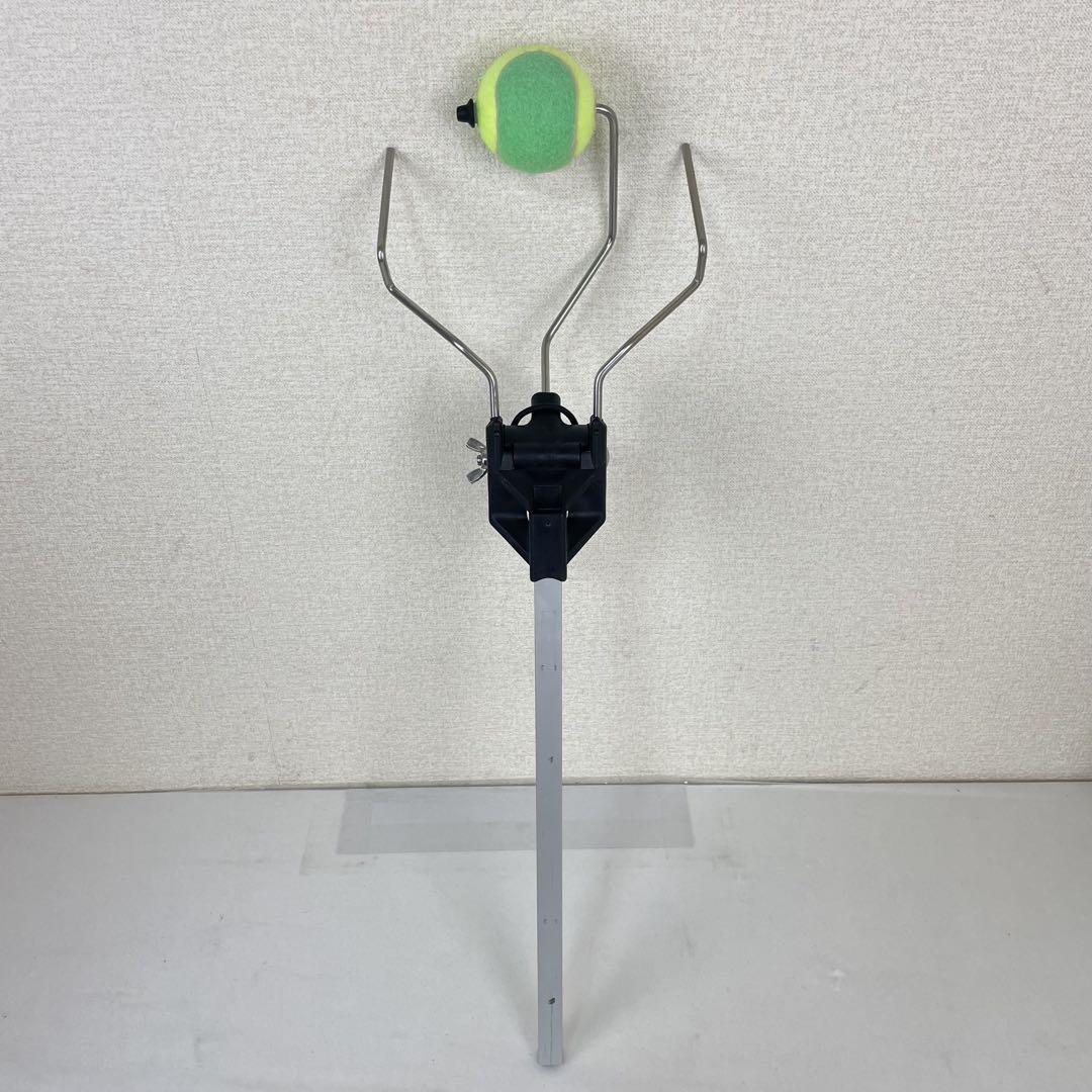 トップスピンプロ テニス