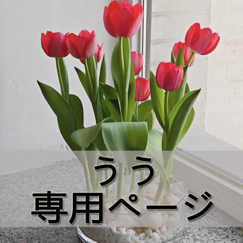 うう 専用ページ 我々だマガジン など 18点まとめ売り