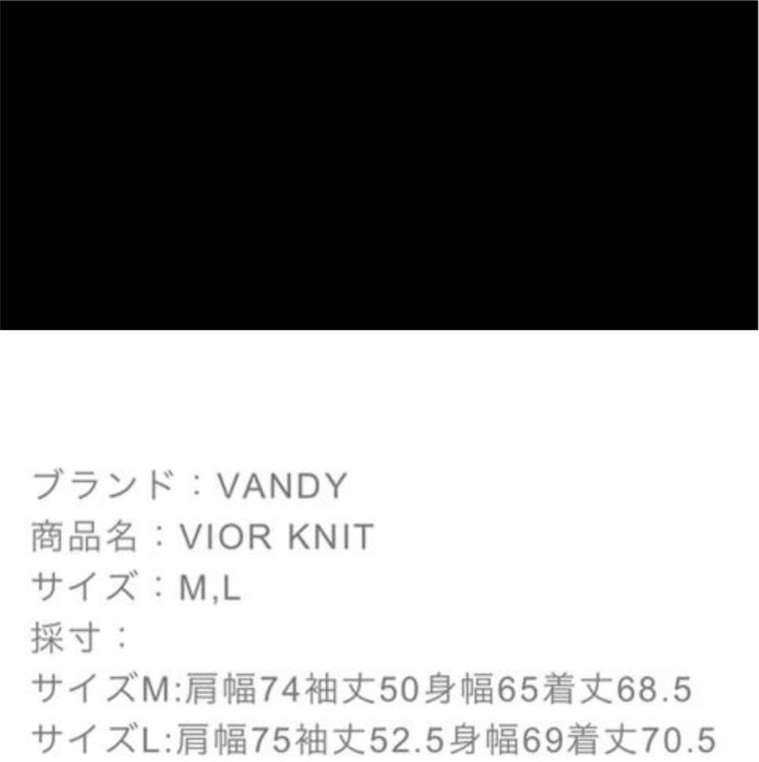 vandy ニット グレー M tnPC7-m85179005089 the pink vior 高評価定番