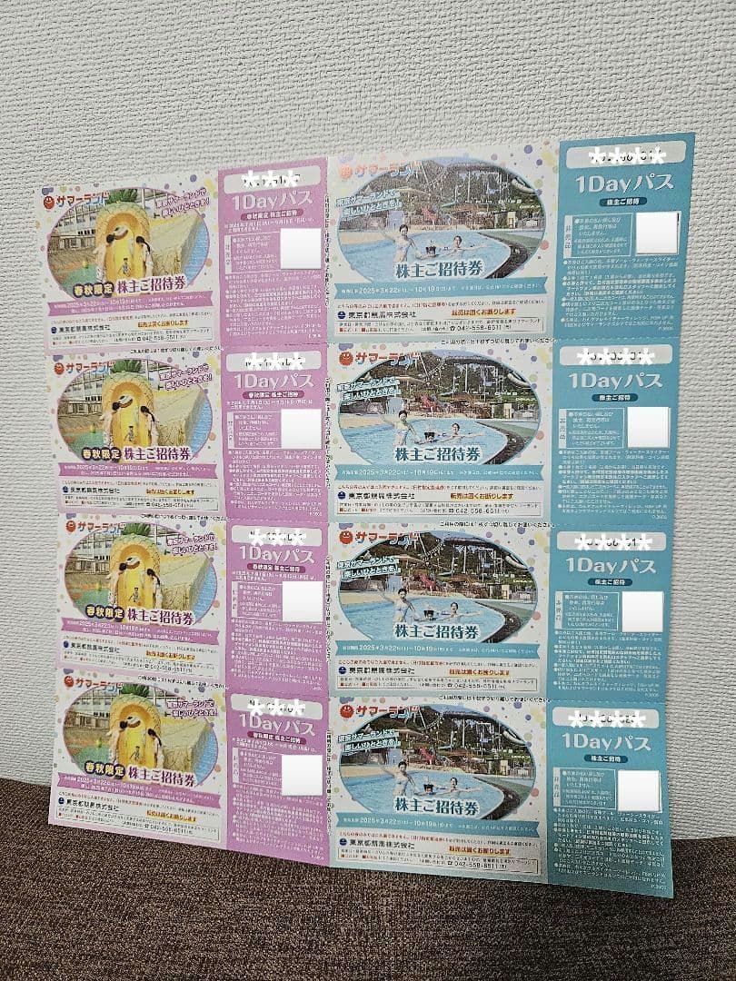 東京サマーランド　株主ご招待券　10枚　1DAYパス　最短翌日到着 東京サマーランド 東京都競馬株式会社 株主ご招待券 1Dayパス 10枚セット