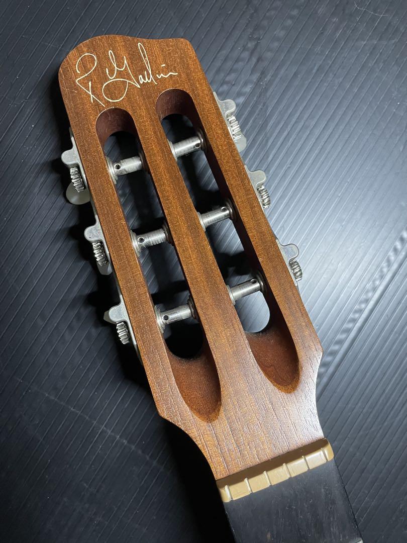 godin エレガット