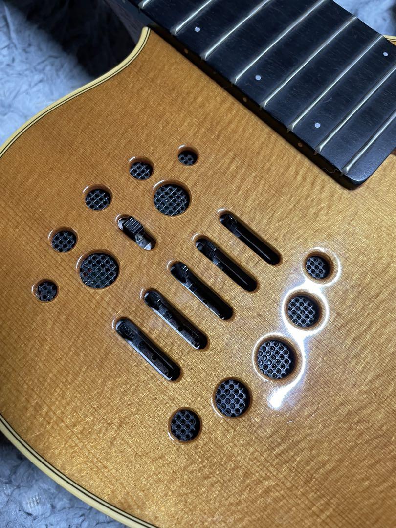 godin エレガット