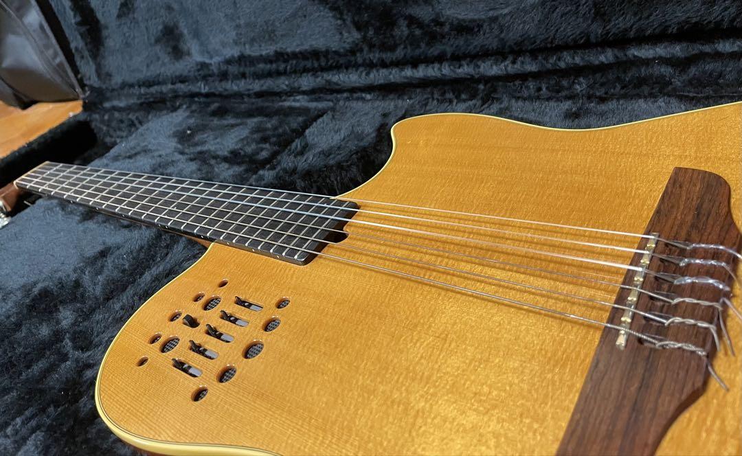 godin エレガット