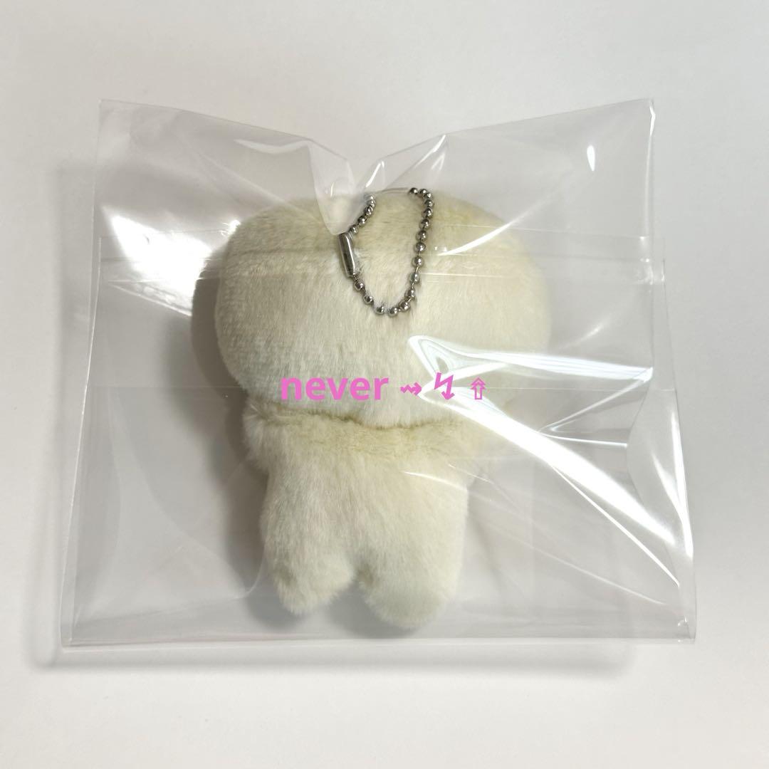 NCT DREAM magnet doll key ring チソン 10cm① - メルカリ