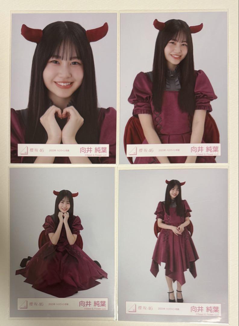 櫻坂46 三期生ライブ オープニング衣装 生写真 4種コンプ 向井純