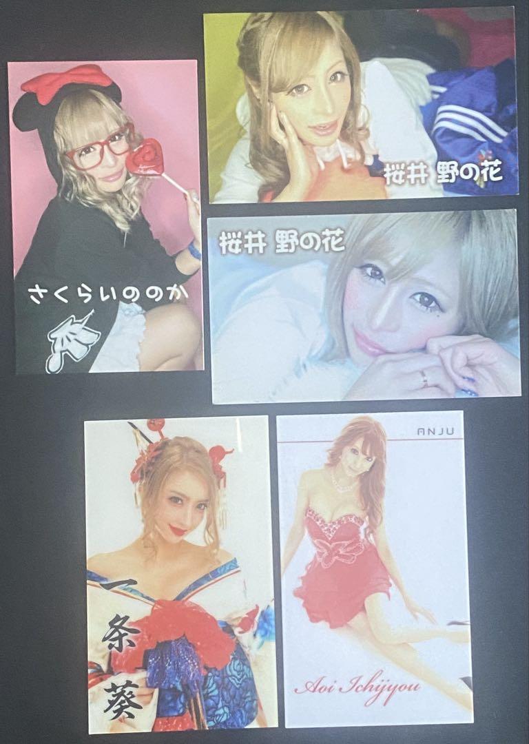 東京 新宿 歌舞伎町 キャバクラ キャバ嬢 名刺 一条葵 桜井野の花 セット