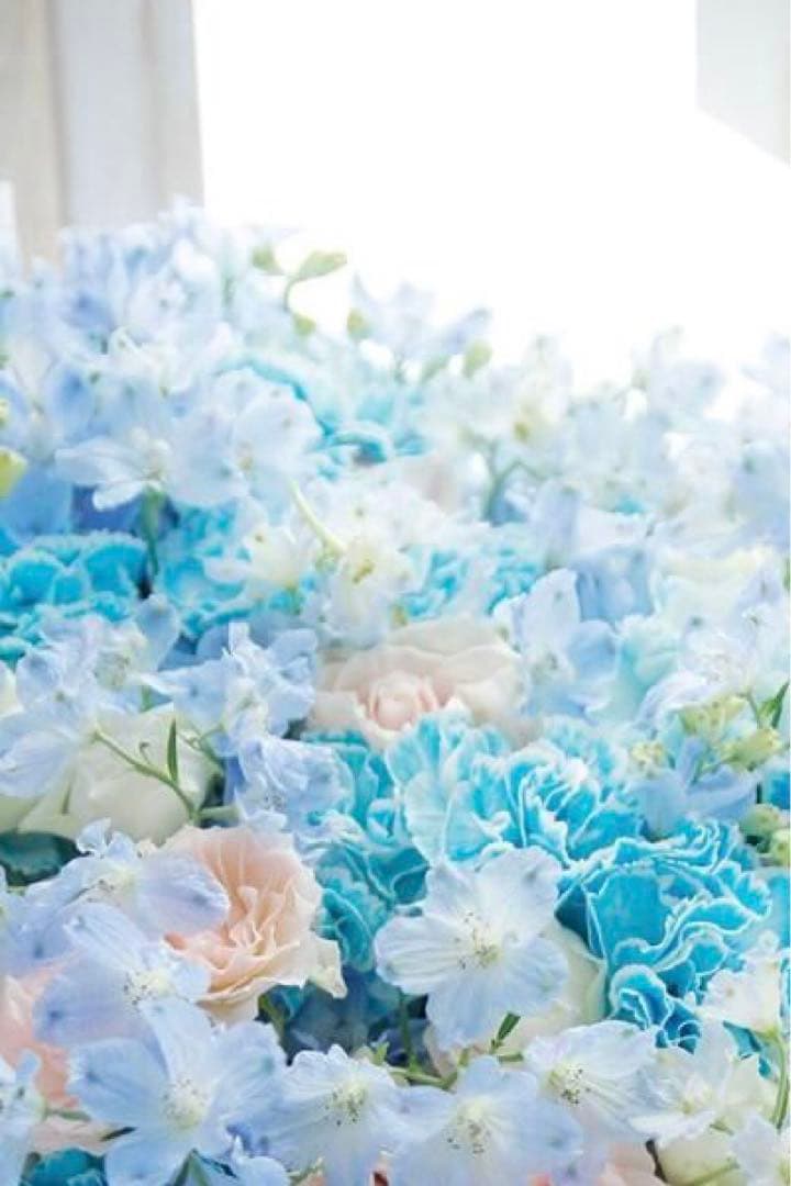 シャネル様ご専用