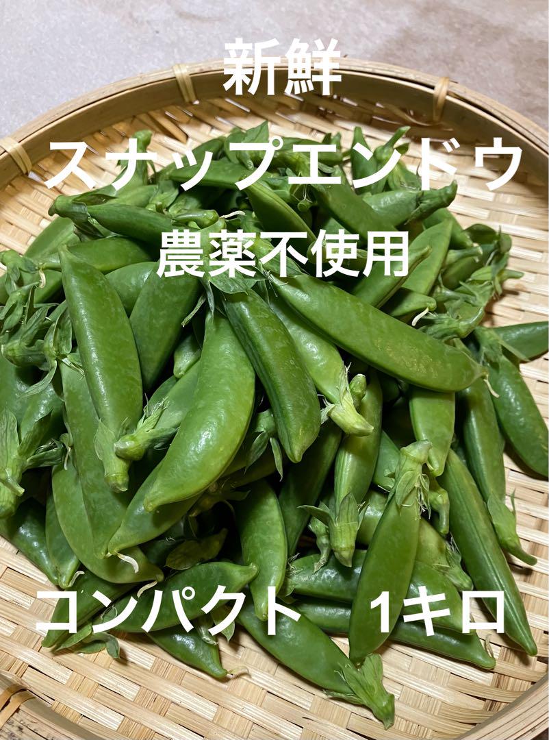 スナップエンドウ　500g 農薬・化学肥料不使用　徳島県産 数量限定】有機スナップエンドウ【500g入】 甘みが強く