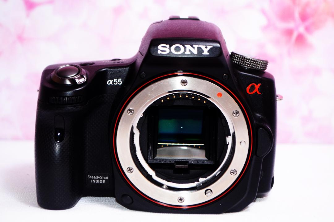 メルカリ 初心者おすすめ Sony A55 高速連写 高画質 フルhd動画 デジタルカメラ 28 000 中古や未使用のフリマ メルカリ 初心者おすすめ Sony A55 高速連写 高画質 フルhd動画 デジタルカメラ 28 000 中古や未使用のフリマ