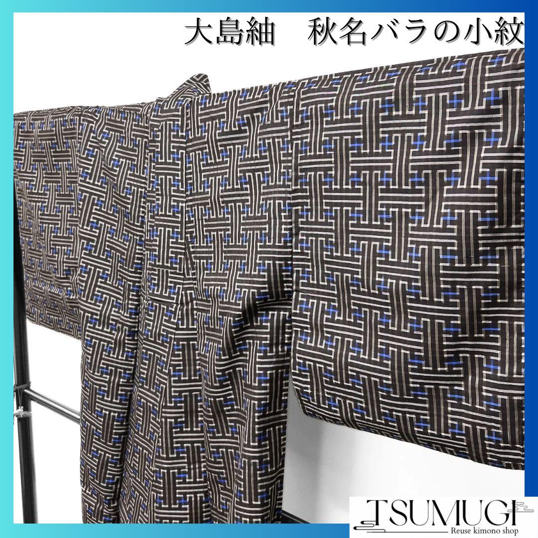 小紋 セミアンティーク 秋名バラ 大島紬 着物 024w 画像1